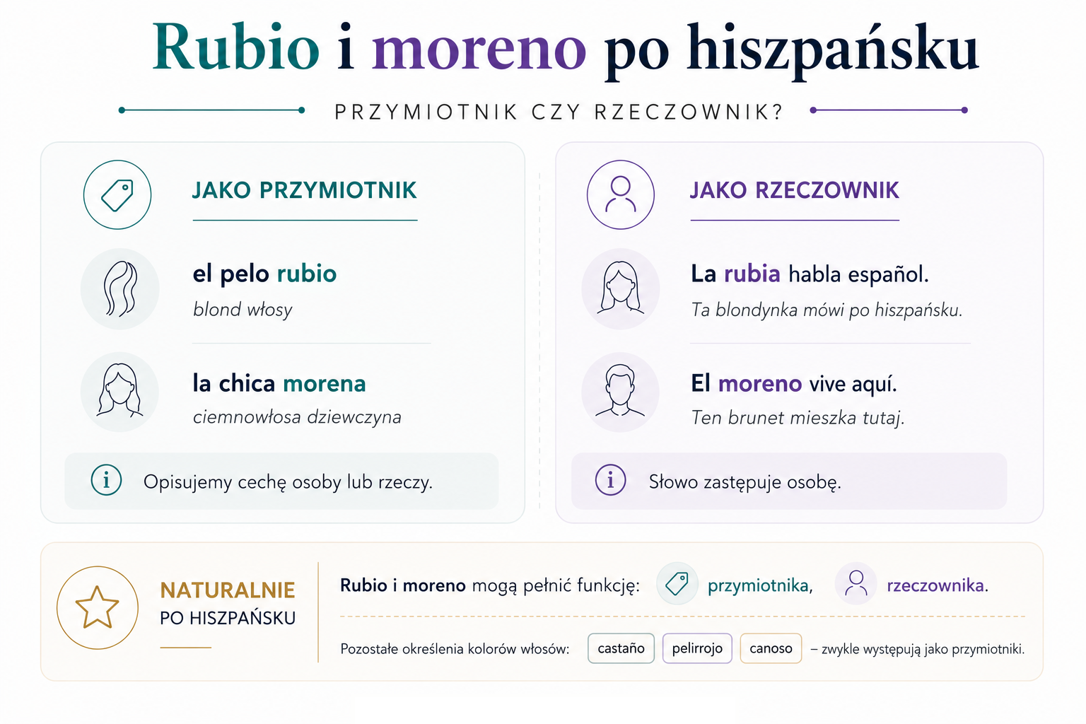 Infografika do nauki hiszpańskiego wyjaśniająca użycie słów rubio i moreno jako przymiotnika oraz rzeczownika w języku hiszpańskim. Grafika pokazuje przykłady el pelo rubio i la chica morena jako opis cechy osoby lub rzeczy oraz zdania La rubia habla español i El moreno vive aquí jako użycie rzeczownikowe. Na infografice znajdują się polskie tłumaczenia: Ta blondynka mówi po hiszpańsku oraz Ten brunet mieszka tutaj. Materiał wyjaśnia naturalne użycie słownictwa związanego z wyglądem po hiszpańsku oraz różnicę między funkcją przymiotnika i rzeczownika.